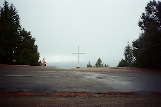 Sophia Cutino, Diaries of a Wet Bird