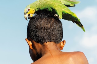 Gleeson Paulino: Echoes Of The Amazon