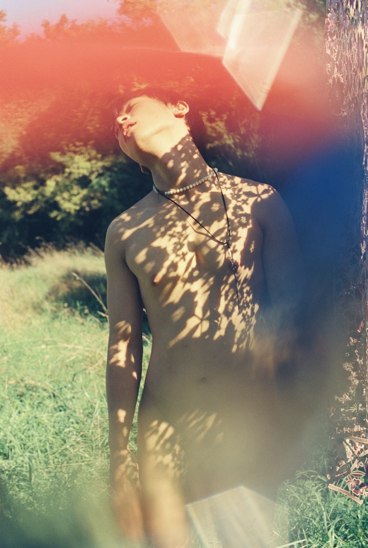 Lin Zhipeng (aka No.223), Amour Défendu