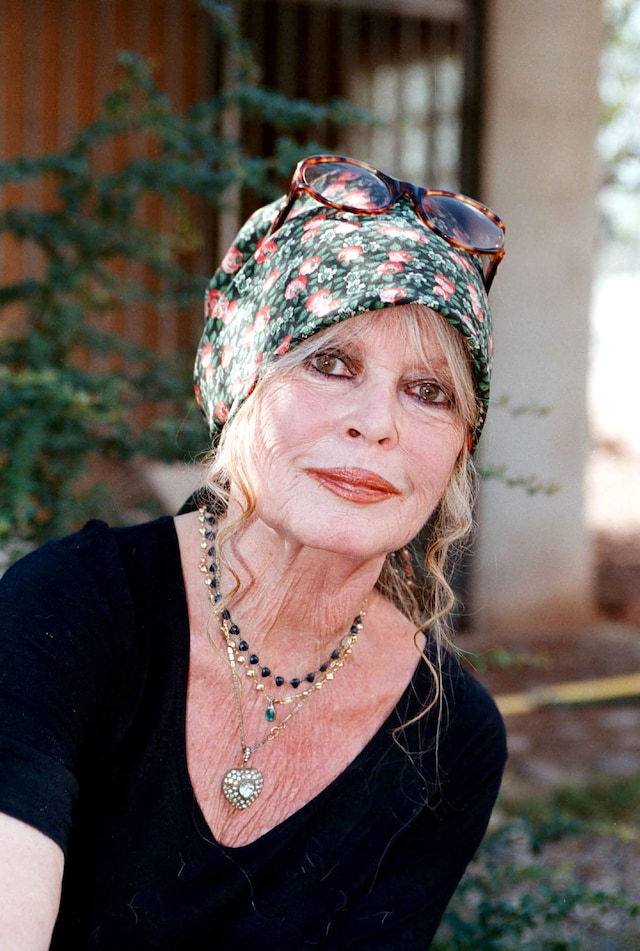 Brigitte Bardot style moments 1