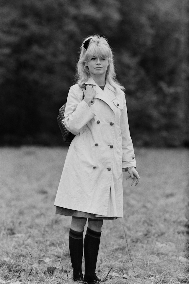 Brigitte Bardot style moments 17